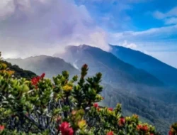 Viral Pengunjung Kaget Ditagih Rp600 Ribu saat Belanja di Warung Gunung Dempo