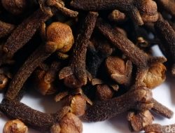 Temuan Cesium-137 di Cengkeh, Pemprov Lampung Tunggu Arahan Pusat